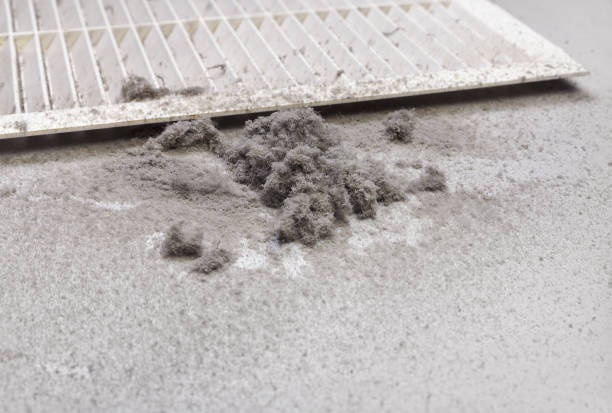 Best Affordable Duct Cleaning Services  in Rural Hill, TN