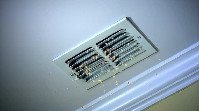 Best Local Air Duct Cleaning Services  in Rural Hill, TN